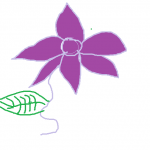 بدون-عنوان بدون-عنوان